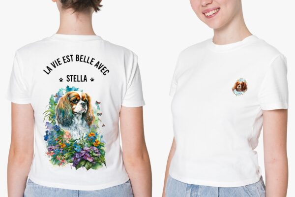 Cavalier King Charles chien – Image 7