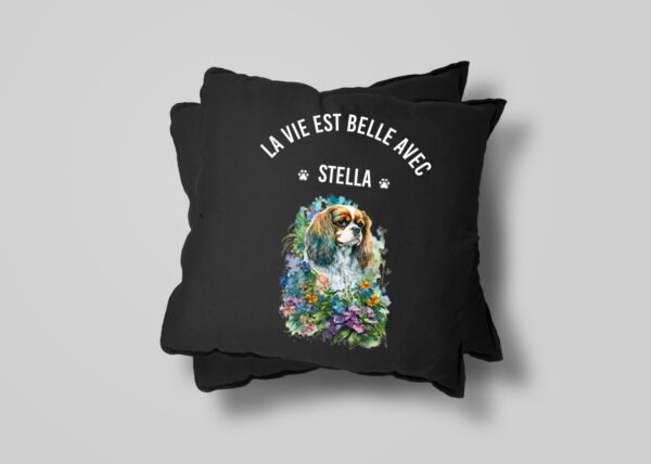 Cavalier King Charles chien – Image 19