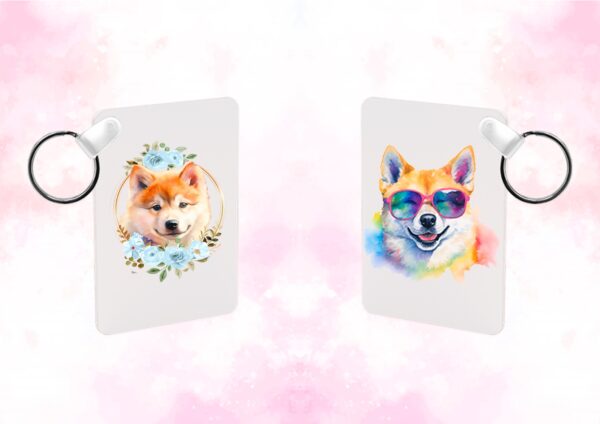 Akita inu chien – Image 21