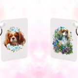 Cavalier King Charles chien – Image 23