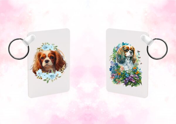 Cavalier King Charles chien – Image 23