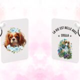 Cavalier King Charles chien – Image 43