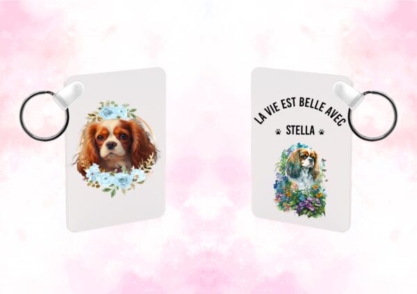 Cavalier King Charles chien – Image 43