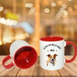 Jack Russel – Image 43