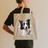 Border Collie – Image 4