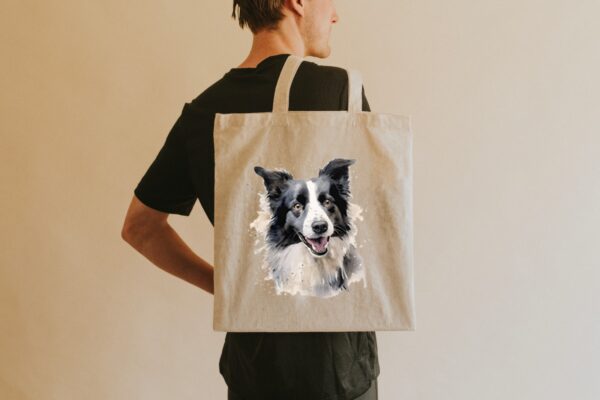 Border Collie – Image 4
