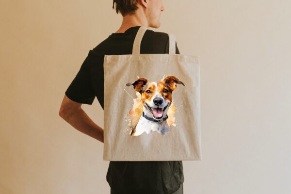Jack Russel – Image 3