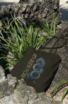 Dragon aztèque : tote bag
